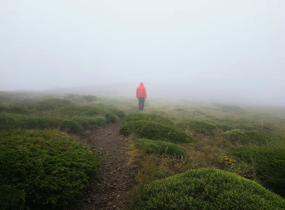 Eine Person geht in den Nebel über grünen Hügeln